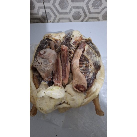 Goose Meat (Dried)